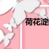 荷花淀的主人公是誰（荷花淀）