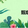 甄嬛體是什么（甄嬛體）