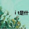 i t是什么簡稱（i t是什么牌子）
