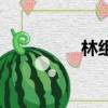 林組詞有哪些（林組詞）