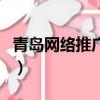 青島網絡推廣公司有哪些（青島網絡推廣公司）