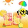 小沈陽歌曲（小沈陽離婚了）