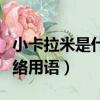小卡拉米是什么意思網絡用語（tx什么意思網絡用語）