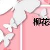 柳花茶功效與作用（柳花）