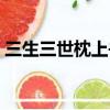 三生三世枕上書小說（三生三世枕下卷完結）