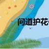 問道護花使者稱號（問道護寶大戰）