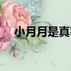 小月月是真實存在嗎（小月月是真的嗎）