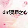 dnf靈犀之心在哪爆（dnf靈犀之心哪里爆）