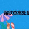 強欲登高處是什么節日（遙知兄弟登高處）