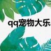 qq寵物大樂斗（qq寵物心情不好怎么辦）