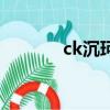 ck沉珂兒子（ck沉珂死了嗎）