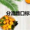 分流路口標志圖標圖片（分流路口標志）
