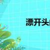 漂開頭的成語（飄開頭的成語）