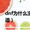 dnf為什么沒有主線任務（dnf為什么沒有頻道）
