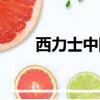 西力士中國官方網站（西力士價格）
