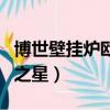 博世壁掛爐歐洲之星說明書（博世壁掛爐歐洲之星）