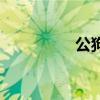 公狗腰怎么練（公狗腰）