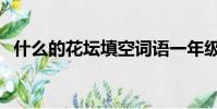 什么的花壇填空詞語一年級(什么的花壇)