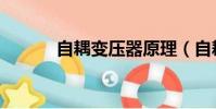 自耦變壓器原理(自耦變壓器)