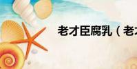 老才臣腐乳(老才臣)