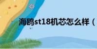 海鷗st18機芯怎么樣(st18iroot)
