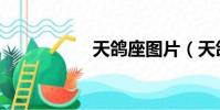 天鴿座圖片(天鴿座)