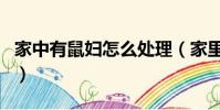 家中有鼠婦怎么處理(家里有鼠婦對人有害嗎)