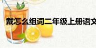 戴怎么組詞二年級上冊語文(戴怎么組詞)