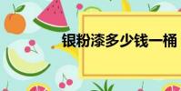 銀粉漆多少錢一桶(銀米)