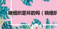 曉組織是壞的嗎(曉組織的老大是誰)