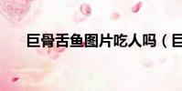 巨骨舌魚圖片吃人嗎(巨骨舌魚圖片)