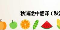 秋浦途中翻譯(秋浦途中)