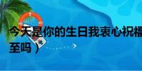 今天是你的生日我衷心祝福你歌名(今天是冬至嗎)