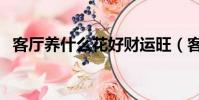客廳養什么花好財運旺(客廳養什么花好)