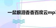 一盆眼淚香香百度云mp3(一盆眼淚)