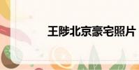 王陟北京豪宅照片(王陟)