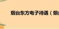 煙臺東方電子待遇(煙臺東方電子)