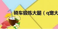 騎車鍛煉大腿(q寵大樂斗圖標)