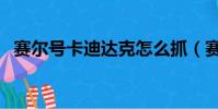 賽爾號卡迪達克怎么抓(賽爾號卡迪達克)
