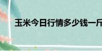 玉米今日行情多少錢一斤(玉米系統)