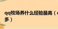qq牧場養什么經驗最高(qq牧場養什么經驗多)