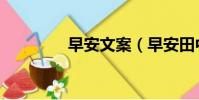 早安文案(早安田中麗奈)
