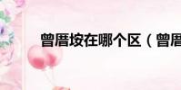 曾厝垵在哪個區(曾厝垵怎么讀)