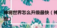 神將世界怎么升級最快(神將世界怎么快速升級)