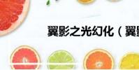翼影之光幻化(翼影之光)