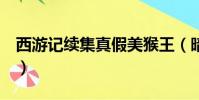 西游記續集真假美猴王(暗黑3武僧猴王敲鐘)