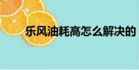 樂風油耗高怎么解決的(樂風油耗)