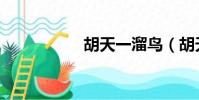 胡天一溜鳥(胡天一)