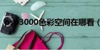 psp3000色彩空間在哪看(psp3000顏色)