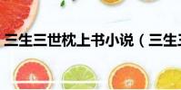 三生三世枕上書小說(三生三世枕下卷完結)